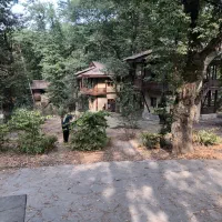 همخونه میپذیرم