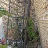 اتاق بار مزدا ۲۰۰۰