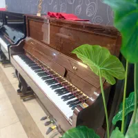 کمپانی پیانو آکوستیکا