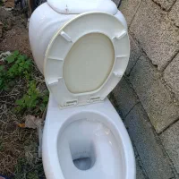 توالت فرنگی سالم|لوازم سرویس بهداشتی|پرهسر, |دیوار