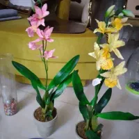 لوازم خانه اصل|حراج|تبریز, |دیوار