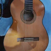 گیتار تاکامین