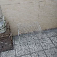 چند عدد قفس|لوازم جانبی حیوانات|مشهد, نوید|دیوار