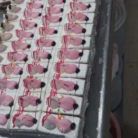 استخدام جهت کار در قنادی