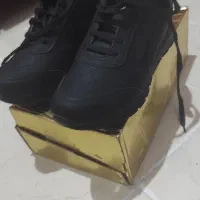 سه عددکتونی|کیف، کفش، کمربند|خورموج, |دیوار