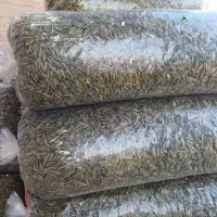 پخش انواع تخمه آفتابگردون  تخمه کدو  ایرانی  خارجی