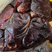 خرمای کبکاب درجه یک