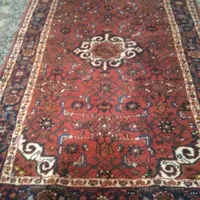 قالیچه فقط امروز