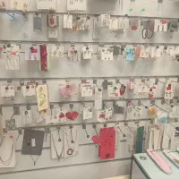اکسسوری و بدلیجات یکجا