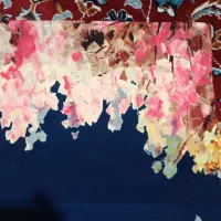 شال ولباس|لباس|بیرجند, |دیوار