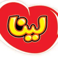 استخدام ویزیتور