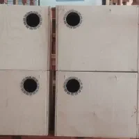 لانه طوطی گرینچیک راهب ملنگو