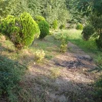 امور ثبتی و دفتر خانه