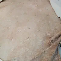 12متر موکت