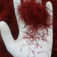 زعفران سرگل درجه یک / مستقیم از کشاورز|خوردنی و آشامیدنی|کرج, ساسانی (قلمستان)|دیوار