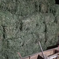 پرس یونجه انباری