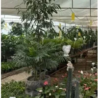 استخدام کارگر ساده فروشگاه ۱۵تا۲۰سال ، جای خواب|استخدام خدمات فروشگاه و رستوران|اصفهان, ارداجی|دیوار