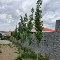 ۶۸۳متر زمین باغ مسکونی دماوند شلمبه پزشکپور|فروش زمین و ملک کلنگی|دماوند, دماوند|دیوار