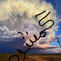 گواهینامه به نام نوید امان الله زاده گمشده