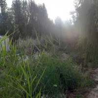 فروش زمین ۵۰۰ متری در بهمن آباد اسلامشهر|فروش زمین و ملک کلنگی|اسلام‌شهر, زرافشان|دیوار