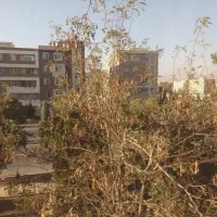 مهرشهر ، میعاد ۳خوابه دو کله تک واحدی (املاک تک)|اجارهٔ آپارتمان|کرج, کوی زنبق|دیوار