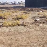 فروش زمین ۱۲۰ متری در شهرک نادی کوچه سوم|فروش زمین و ملک کلنگی|کوهدشت, |دیوار