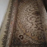 فرش|فرش|دوگنبدان, |دیوار