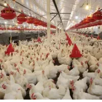 استخدام نیرو کار با حقوق و مزایای خوب