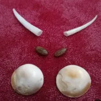 دعا|بدلیجات|سبزوار, قاضی زاد|دیوار