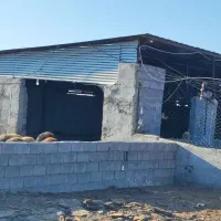 ۱۰۰۰متر دامداری