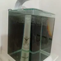 اکواریوم B102