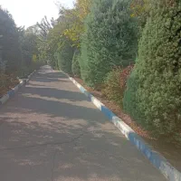190متر-بر-مخبری