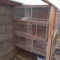 لانه کبوتر|لوازم جانبی حیوانات|تولم شهر, |دیوار