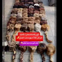 انواع کلاه روسی|لباس|محمدشهر, عباس آباد|دیوار