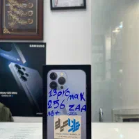 13 pro max 256 zAA