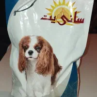 غذای سگ