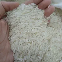 برنج هاشمی|خوردنی و آشامیدنی|شهریار, شهرک امیریه|دیوار