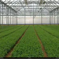 سازه گلخانه اسپانیایی