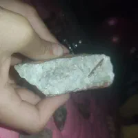 راف کواتز زرد و سفید بسیار زیبا کلکسیونی مشخصات