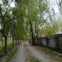 کلبه اشکان با ویوی بهشت