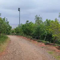 همراه ورزشی