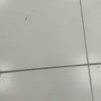 فروش منزل ویلایی ۲۴۰