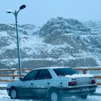 پژو۴۰۵|خودرو سواری و وانت|بجنورد, |دیوار