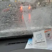 بیده یونجه خشک