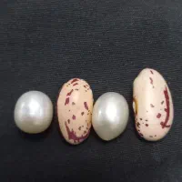 مروارید اصل|جواهرات|تهران, تهرانپارس غربی|دیوار