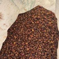 کشمش افتابی تاکستان|خوردنی و آشامیدنی|قزوین, |دیوار