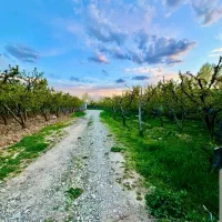 شراکت در خرید فروش ویلا