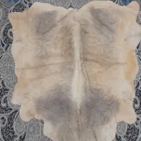 پوست دباغی شده گوساله خوش رنگ  صحنه|صنایع دستی و سایر لوازم تزئینی|صحنه, |دیوار