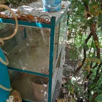 ویترین آهنی بزرگ و میز