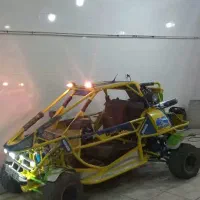 باگی دست ساز